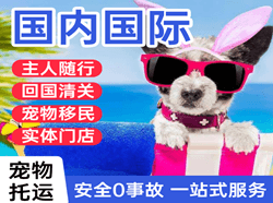西昌机场快运国际宠物托运 【国